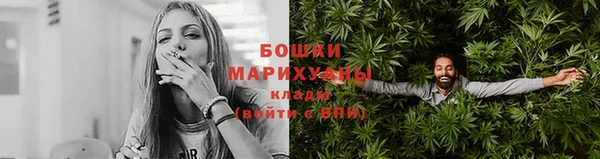 крисы Мегион