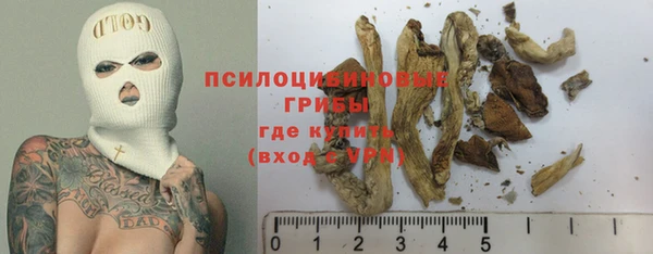СК Алексеевка