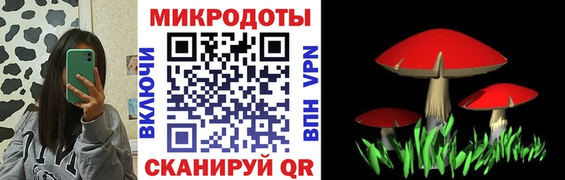 Псилоцибиновые грибы Magic Shrooms  Приморск 